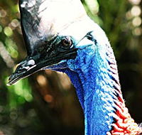 Alma Park Zoo - Accommodation in Brisbane