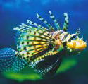 Underwater World - Accommodation in Brisbane