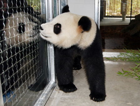 Adelaide Zoo - Accommodation in Brisbane 3