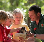 Cleland Wildlife Park - Accommodation in Brisbane