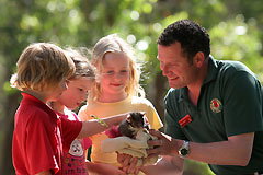 Cleland Wildlife Park - Accommodation in Brisbane 0