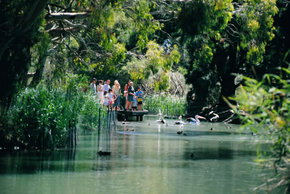 Cleland Wildlife Park - Accommodation in Brisbane 1