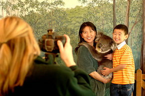 Cleland Wildlife Park - Accommodation in Brisbane 2