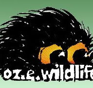 OZe Wildlife - Accommodation in Brisbane