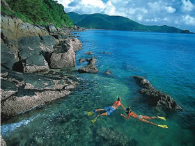 Llewellyn Dive Site - Accommodation in Brisbane 0