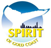 Spirit of Gold Coast Whale Watching - Accommodation in Brisbane