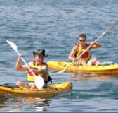 Manly Kayaks - Accommodation in Brisbane