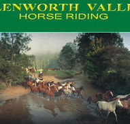 Glenworth Valley Horseriding - Accommodation in Brisbane