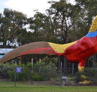 Gumbuya Park - Accommodation in Brisbane