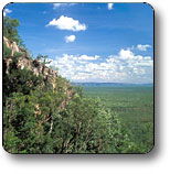 Kakadu National Park - Accommodation in Brisbane 2