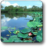 Kakadu National Park - Accommodation in Brisbane 3