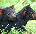 Great Oak Holdings Pty Ltd - Accommodation in Brisbane