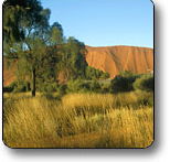 Uluru - Kata Tjuta National Park - Accommodation in Brisbane
