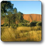 Uluru - Kata Tjuta National Park - Accommodation in Brisbane 0