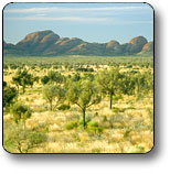 Uluru - Kata Tjuta National Park - Accommodation in Brisbane 2