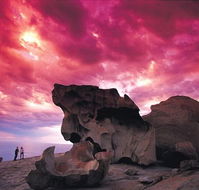 Kangaroo Island Adventure Tour 2 day/1 night - Accommodation in Brisbane