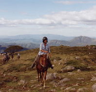 High Country Horses - Accommodation in Brisbane