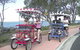 Beach Safaris - thumb 0