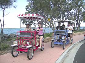 Beach Safaris - Accommodation in Brisbane 0