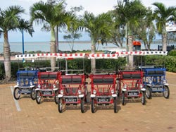 Beach Safaris - Accommodation in Brisbane 1
