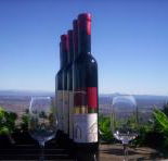 Mount Tamborine Winery  Homestead - Accommodation in Brisbane