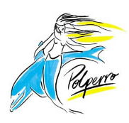 Polperro Dolphin Swims - Accommodation in Brisbane