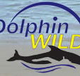 Dolphin Wild - Accommodation in Brisbane