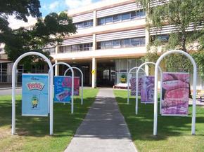 Cadbury Chocolate Factory Tour - Accommodation in Brisbane 2