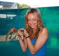 Crocosaurus Cove - Accommodation in Brisbane