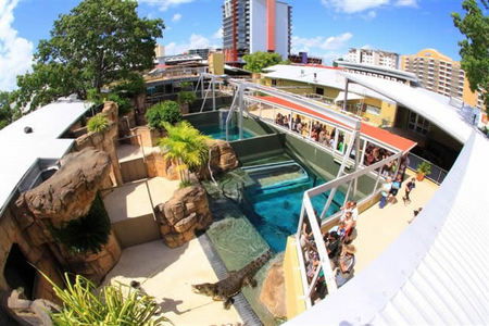 Crocosaurus Cove - Accommodation in Brisbane 1