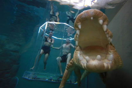 Crocosaurus Cove - Accommodation in Brisbane 3