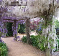 Abingdon Miniature Village - Accommodation in Brisbane