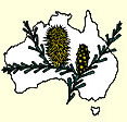Australian National Botanic Gardens - Accommodation in Brisbane
