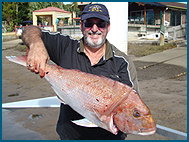 Odyssey Charters - Accommodation in Brisbane 1