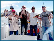 Odyssey Charters - Accommodation in Brisbane 2