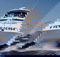 Sunshine Coast Fishing Charters - Accommodation in Brisbane