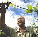 Barossa Experience Tours - Accommodation in Brisbane