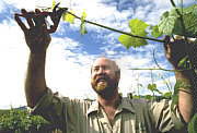 Barossa Experience Tours - Accommodation in Brisbane 0