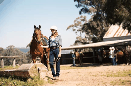 Watsons Trail Rides - Accommodation in Brisbane
