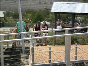 High Country - Accommodation in Brisbane 0