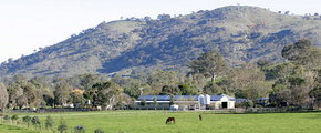 Blue Gum Farm - Accommodation in Brisbane 1