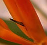 Zen Day Spa - Accommodation in Brisbane