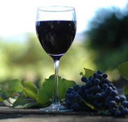Lion Mill Vineyards - Accommodation in Brisbane