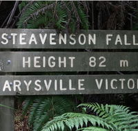 Stevensons Falls - Accommodation in Brisbane