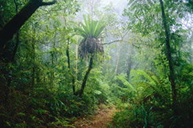 Canungra QLD Accommodation in Brisbane