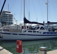 Coral Sea Dreaming Dive and Sail - Accommodation in Brisbane