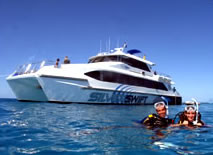 Silver Swift - Accommodation in Brisbane 0