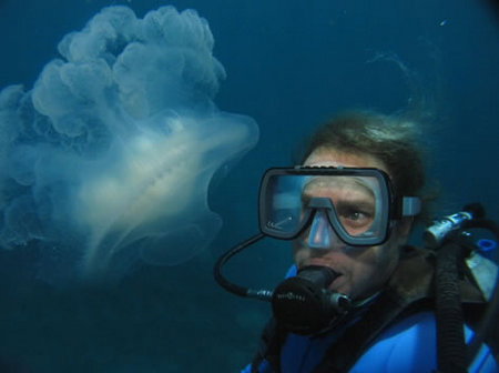 Silver Swift - Accommodation in Brisbane 2