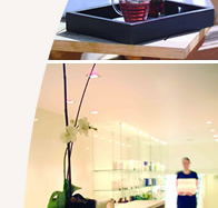 Lyall Hotel and Spa - Accommodation in Brisbane
