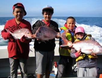 Melbourne Fishing Charters - Accommodation in Brisbane 3